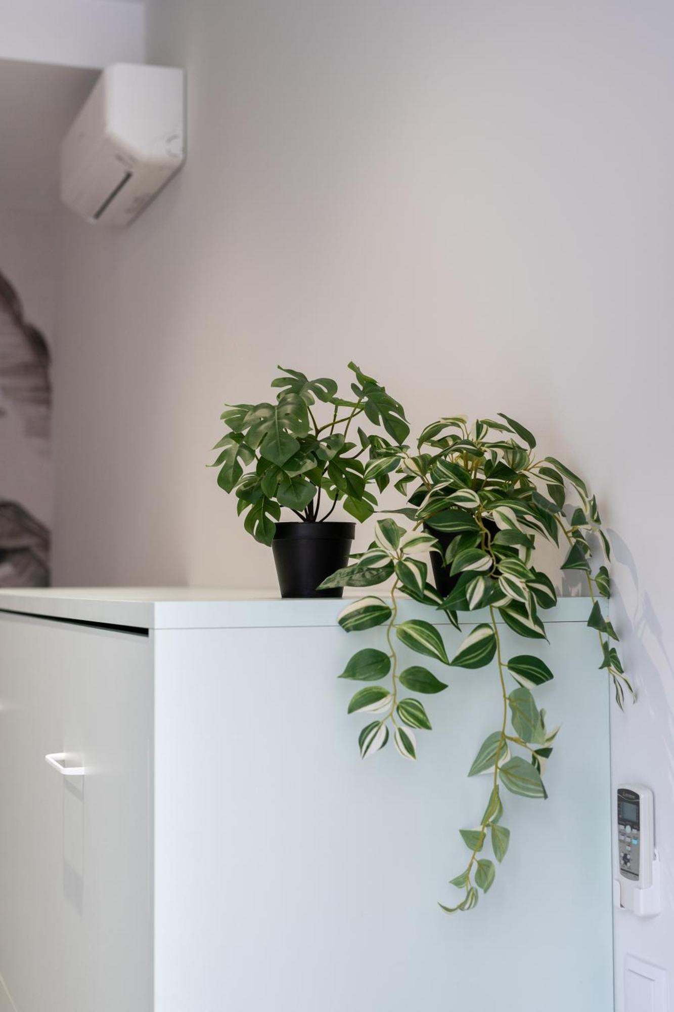 Marina Apartment